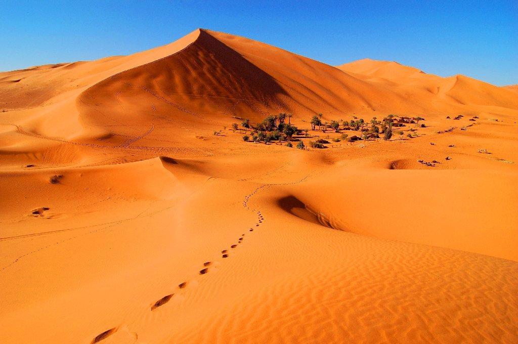 Riad Desert Camel メルズーガ エクステリア 写真