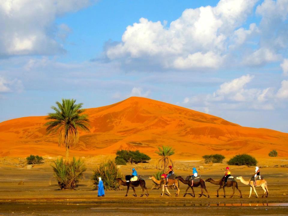 Riad Desert Camel メルズーガ エクステリア 写真