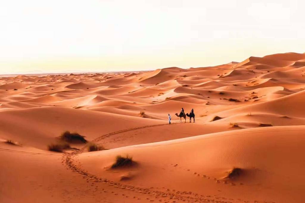 Riad Desert Camel メルズーガ エクステリア 写真