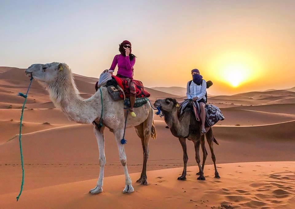 Riad Desert Camel メルズーガ エクステリア 写真